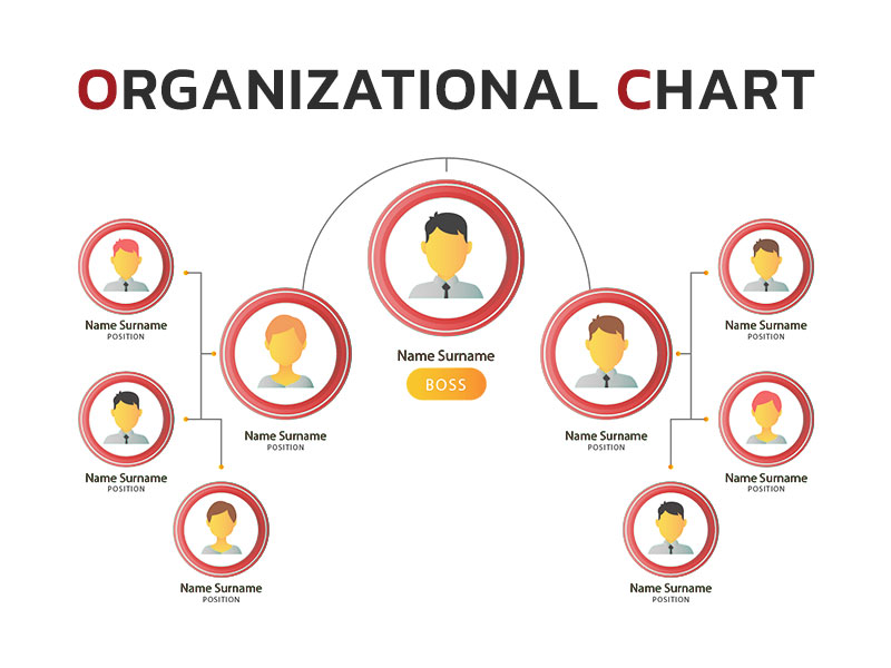 OC organization chart ผังโครงสร้างองค์กร
