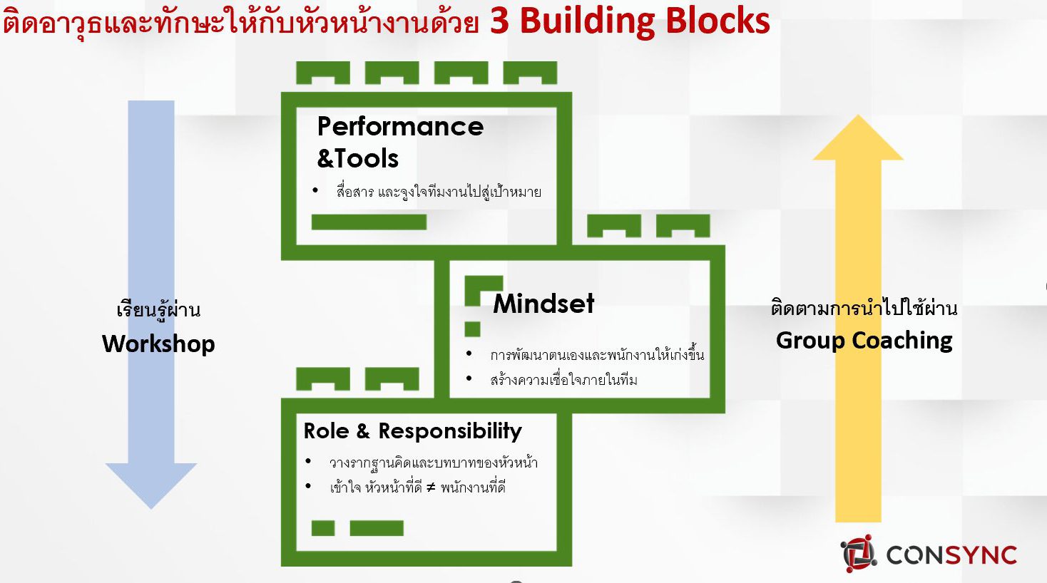 HCS Leadership training by Consync