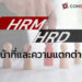 ้hrm hrd หน้าที่