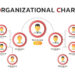 OC organization chart ผังโครงสร้างองค์กร